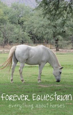 Forever Equestrian