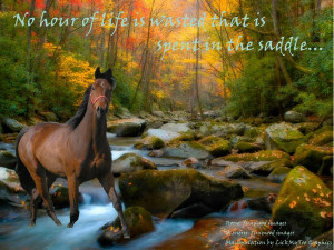 falling off horse quotes