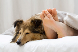 Woman sleeping in bed with dog