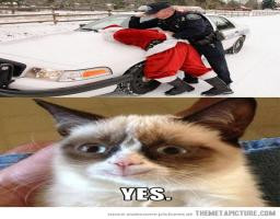 Santa Claus Gets Arrested Very Funny Grumpy Cat Reaction