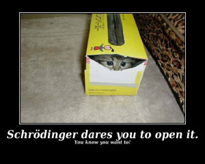 Schrodinger's Cat -Kill the Kitty,