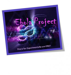 Ebola%20software%20art.png