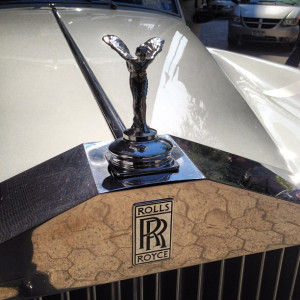 Tologin to the quotes, t . View likes and true life quotesandcrap oh .