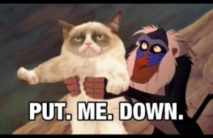Grumpy Cat Quotes Disney