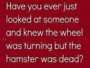 Quotes, life quotes, funny life quotes, 100 funny quotes,best quotes