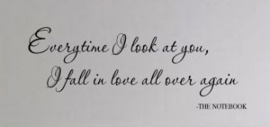 THE NOTEBOOK Quote Everytime I look at You I fall in by wallstory, $28 ...