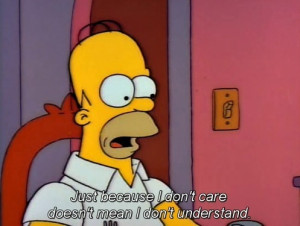 ... because I don't care doesn't mean I don't understand. ~Homer Simpson