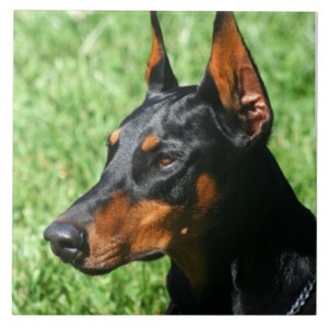 Doberman Pinscher Ceramic Tiles