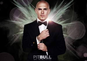 Details about PITBULL RAPPER Armando Christian Perez Photo Poster ...