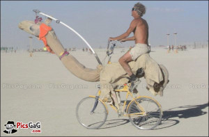 ... quotes bicycle joke camel jokes camel meme camel quotes funny trick