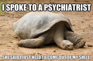 Depressed Turtle…