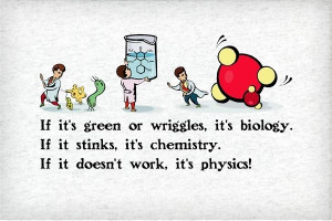 ... . If it stinks, it's chemistry. If it doesn't work, it's physics