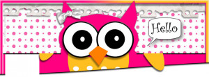 Owl hello Facebook Cover