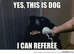 NFL referee fail = awesome new memes