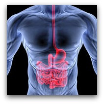 14. Effective at treating Crohn’s disease