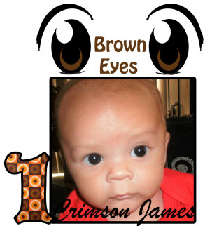 Brown eyed boys - Siggies posted