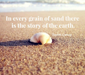 You will never look at beach sand the same after viewing the ...