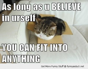 cat lolcat animal stuck box believe yourself fit anything funny pics ...
