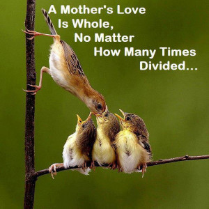 Mother's love are same every where around the earth: