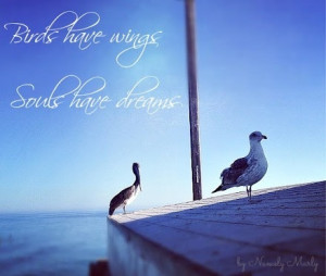Birds have wings; Souls have dreams. #Quotes #Picturequotes