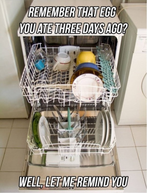 Scumbag Dishwasher Funny Meme Gif