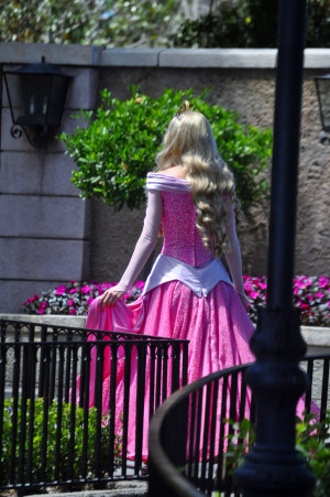 ... Beauty Disney Princess makeover Face Character Briar Rose epcot