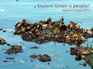 Soylent Green is people! Soylent Green, 1973