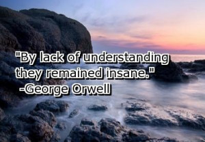 Understanding Quotes By Lack of Understanding They Remained Insane