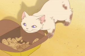 the cat returns | Tumblr