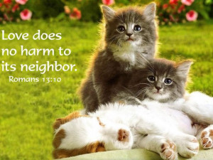 by Bible_quoted_pics. Find other Animals-widescreen-wallpaper-animal ...