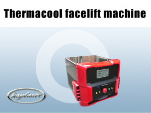 strong conviction Popular+bible+quotes+for+tattoos