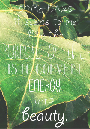 Some days it seems to me like the purpose of life is to convert energy ...