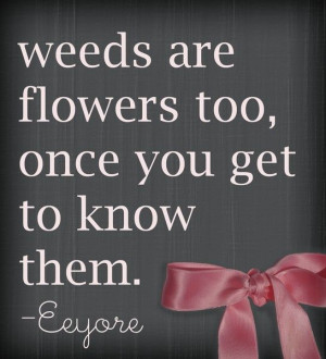 Eeyore quote, for the garden :)