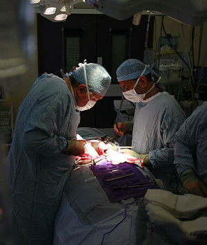 four transplant recipients in Chicago contracted H.I.V. from an organ ...