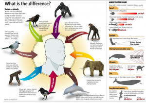 The Difference Between Humans and Animals Infographic