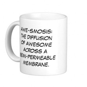 Hello Biology & Chemistry Teachers: Science is Awesome Mugs Biology ...