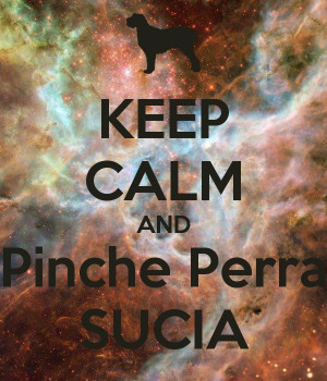 KEEP CALM AND Pinche Perra SUCIA