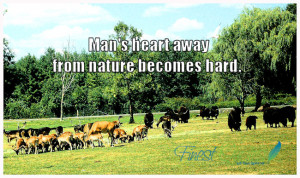 Quotes About Walking in Nature