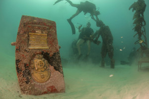 Thread: This Weeks Photos Monday 8th to 14th September 2014