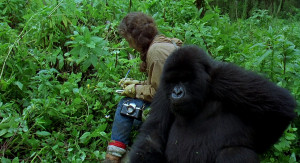 MULTI] Gorillas in the Mist The Story of Dian Fossey (1988) 720p ...