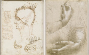 Leonardo da Vinci: Painter at the Court of Milan, National Gallery in ...
