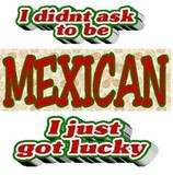 Proud Mexican Image