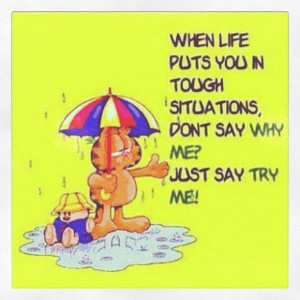 My favorite cat - @TiKisokA- #webstagram #garfield #quotes