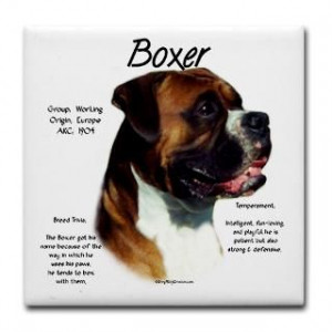 Boxer Dogs Drink Coasters Buy Boxer Dogs Beverage Coasters