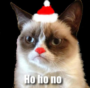 grumpy cat, christmas pictures, ho ho ho