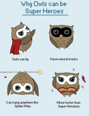 Funny Owl Sayings and Quotes