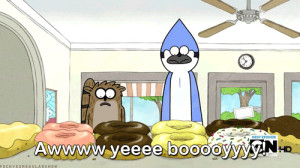 Cartoon Network Regular Show Mordecai