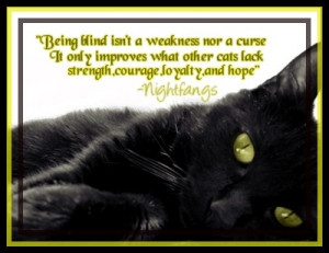 ... warrior cat sayings warrior cat sayings top 10 saddest warrior cat