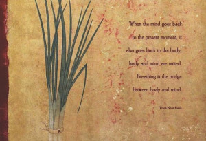 Thich Nhat Hanh #quote #mindfulness
