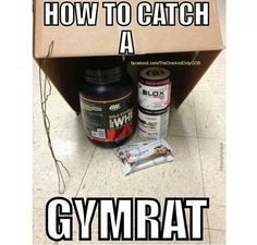 gym rat more gymrat 101 funny pics motivation quotes fitmotivation gym ...